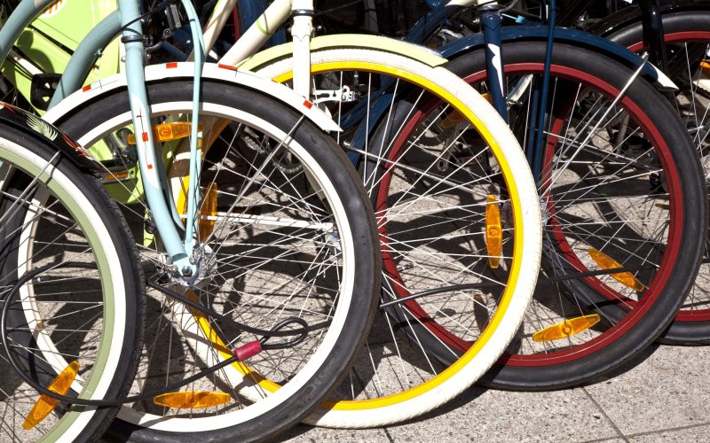 bicycle wheels lined up